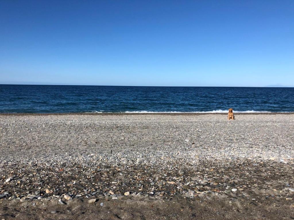 Готель H Boutique La Caleta Bay Ла-Еррадура Екстер'єр фото